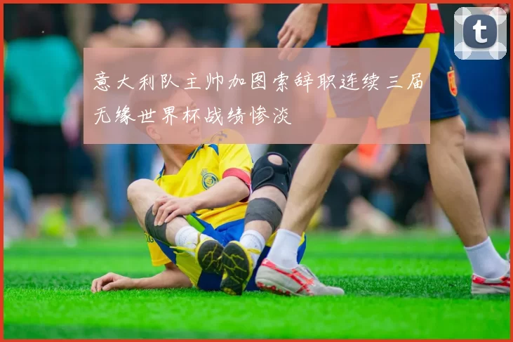 意大利队主帅加图索辞职连续三届无缘世界杯战绩惨淡